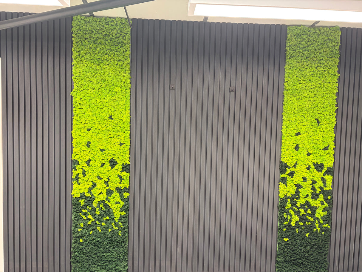 Preserved reindeer moss panels, lime green bands with dark green borders.