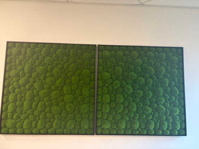 Artificial bun moss wall square art panel black aluminium - 100x100cm
