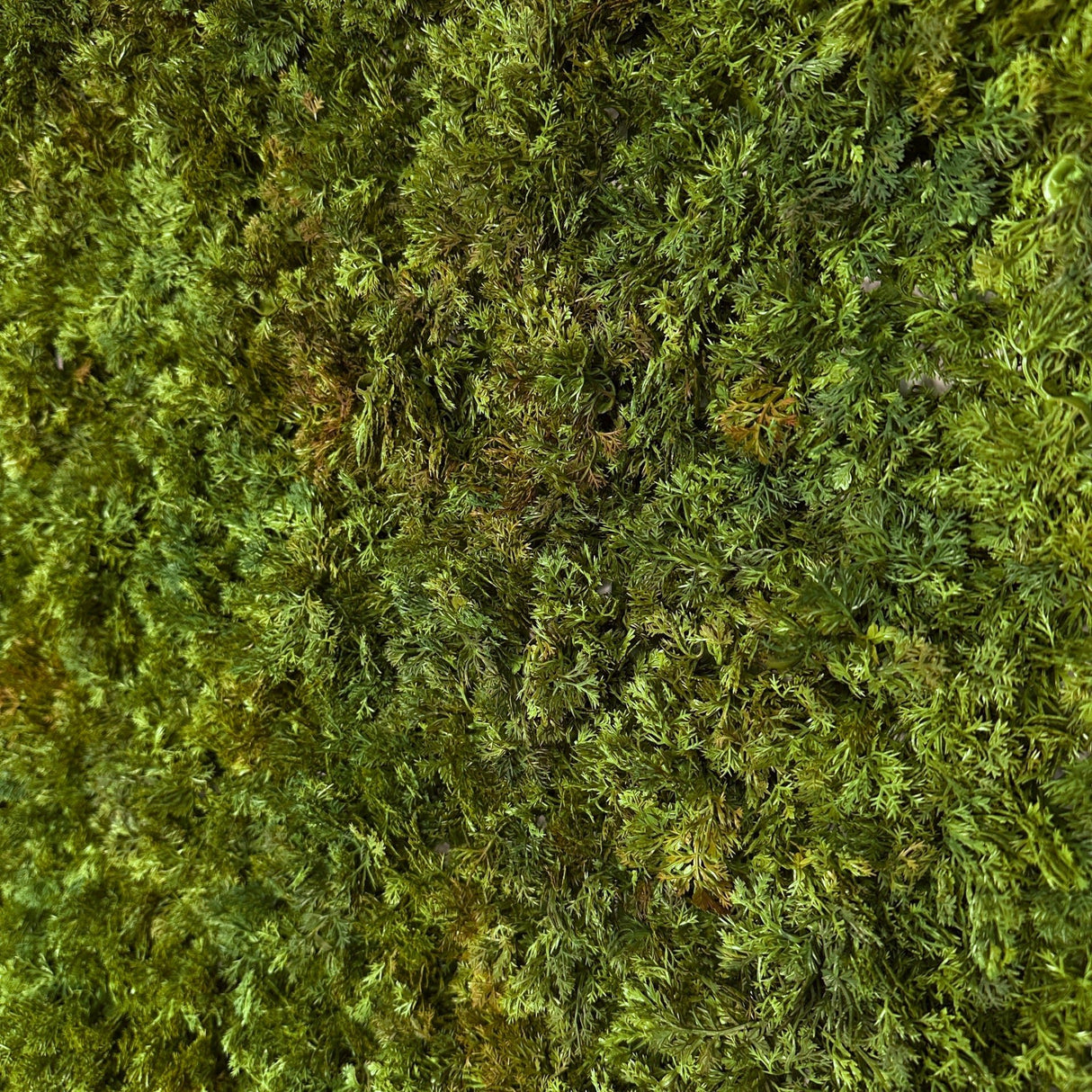 Artificial moss panel close-up, dense green fibers with shaggy texture
