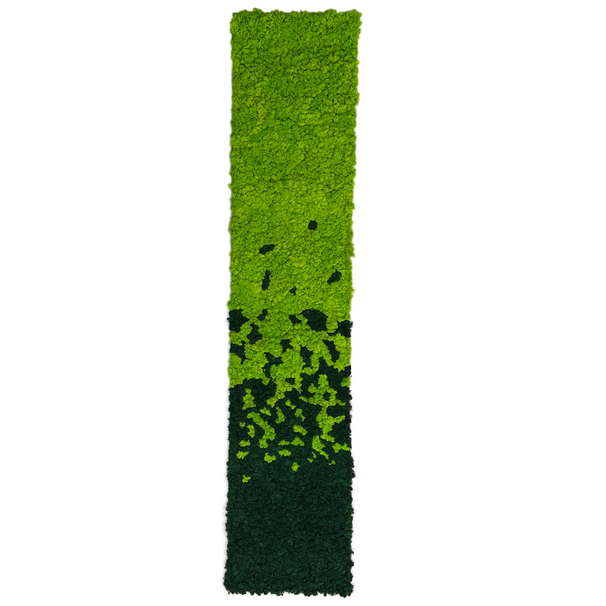 Premium preserved reindeer moss panel - faded light green to dark green 0.5 x 2.5M