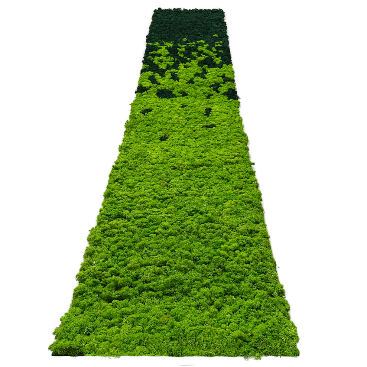Premium preserved reindeer moss panel - faded light green to dark green 0.5 x 2.5M