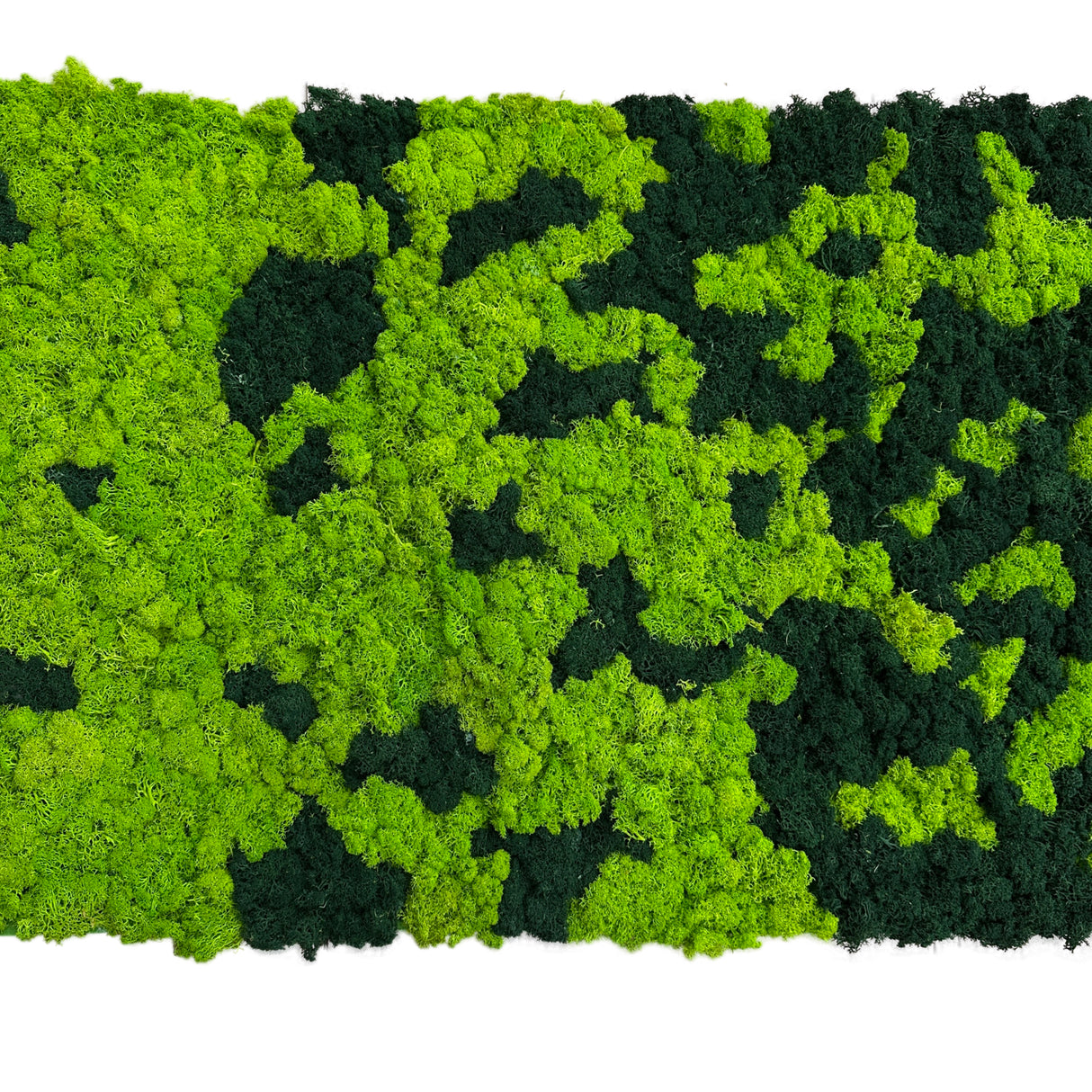Premium preserved reindeer moss panel - faded light green to dark green 0.5 x 2.5M