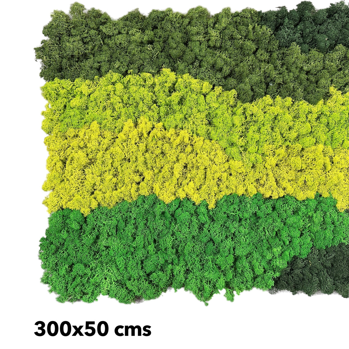 Premium preserved reindeer moss - mixed green 0.5 x 3m self adhesive panel