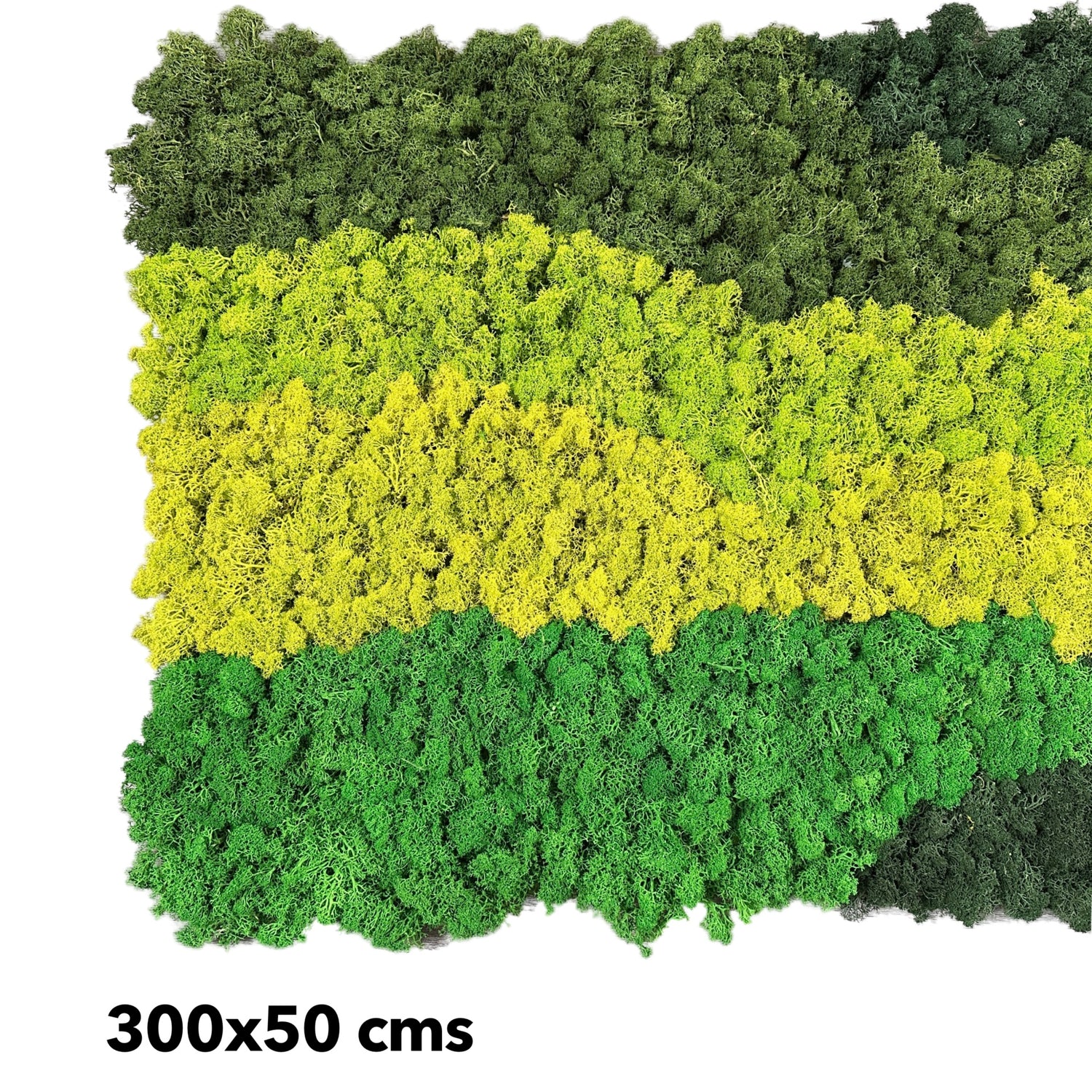 Premium preserved reindeer moss - mixed green 0.5 x 3m self adhesive panel