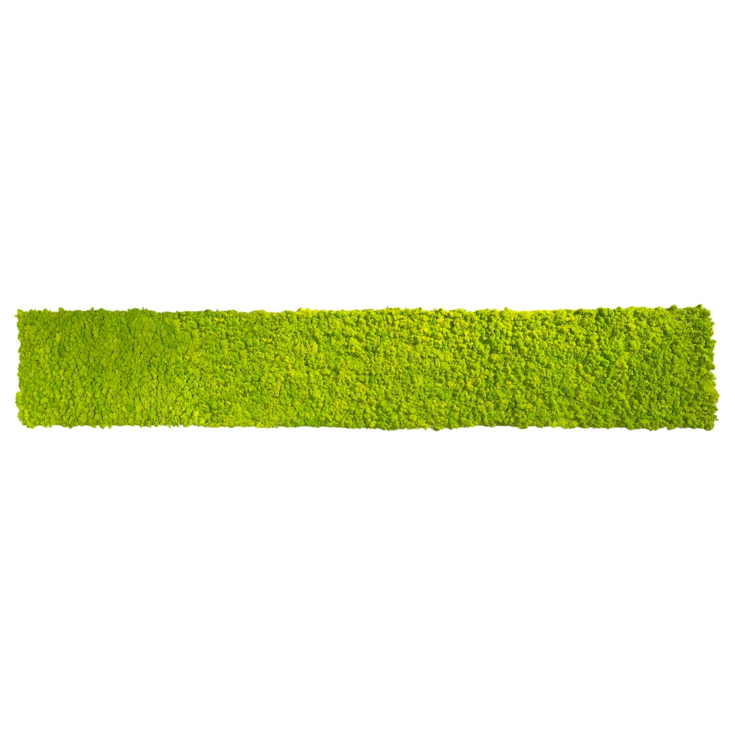 Premium preserved reindeer moss - light green 0.5 x 3m self adhesive panel