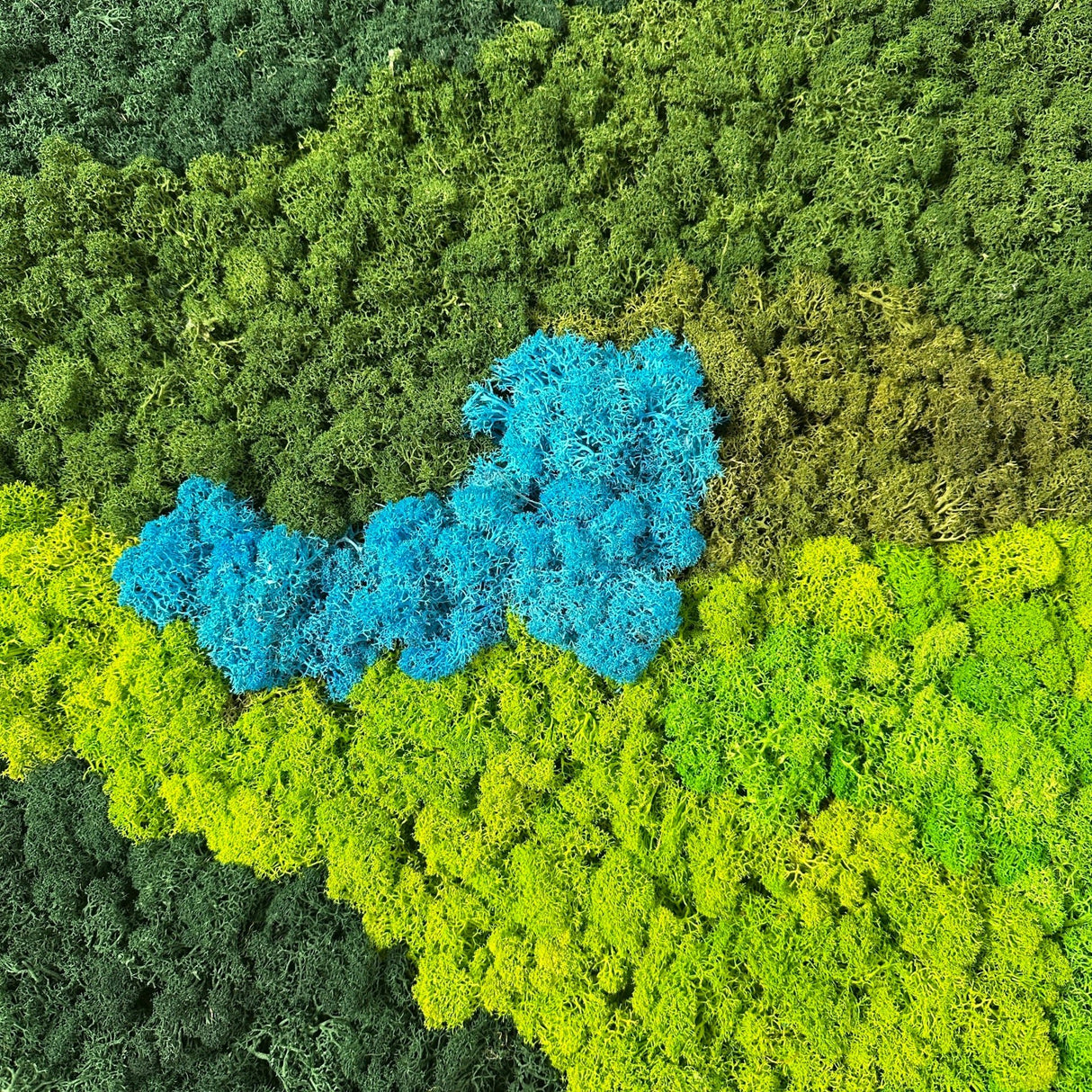 Preserved moss texture panel, mixed green and blue patches with pebbled surface