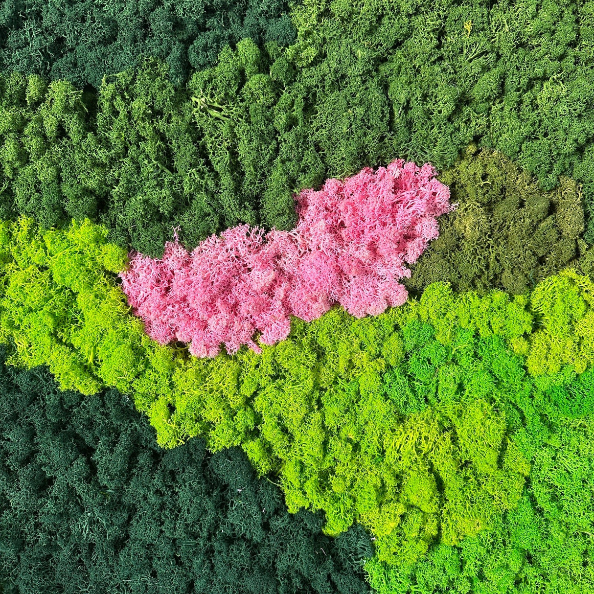 Self-adhesive preserved moss panel featuring a large pink moss cluster on green and dark green