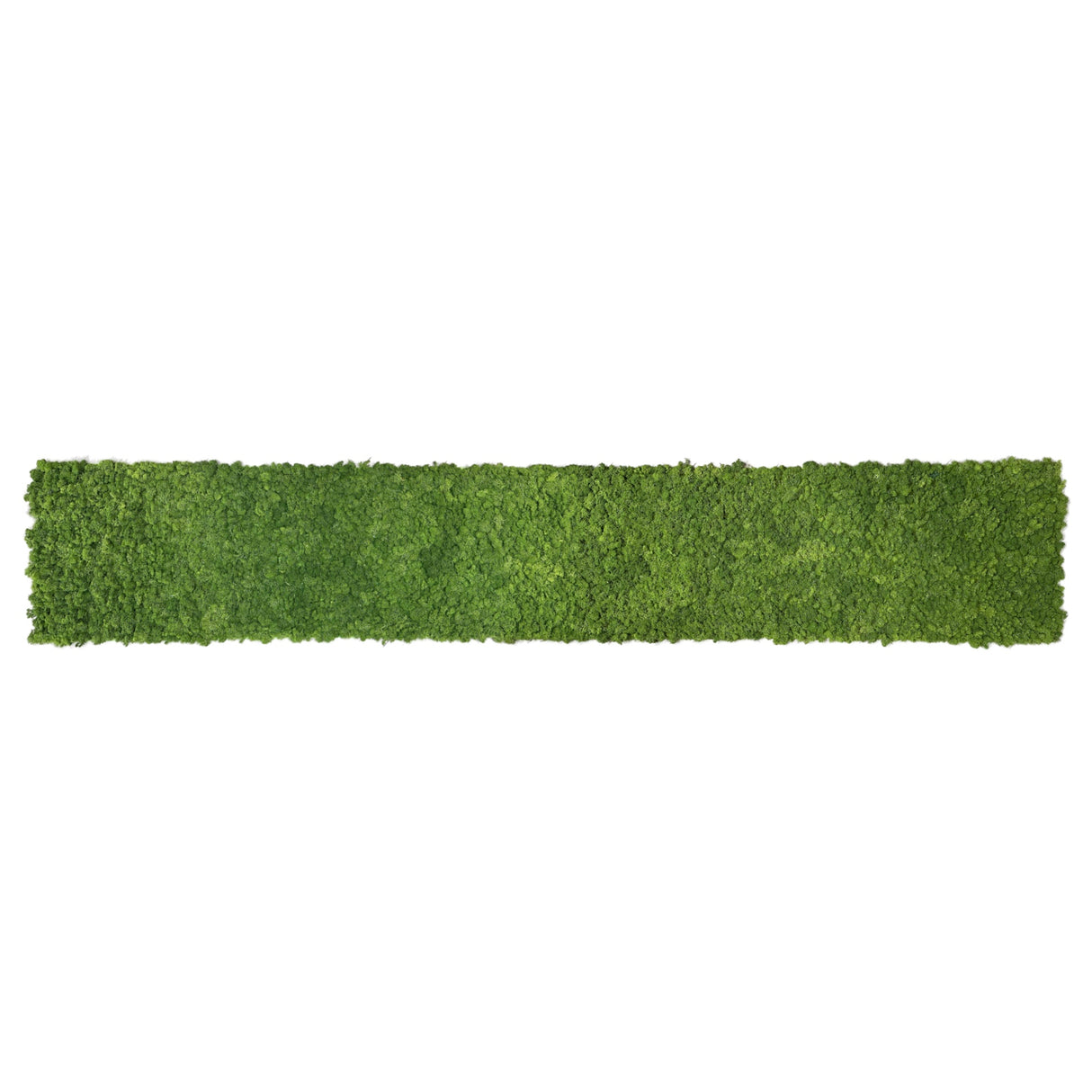 Premium preserved reindeer moss - Forest green 0.5 x 3m self adhesive panel