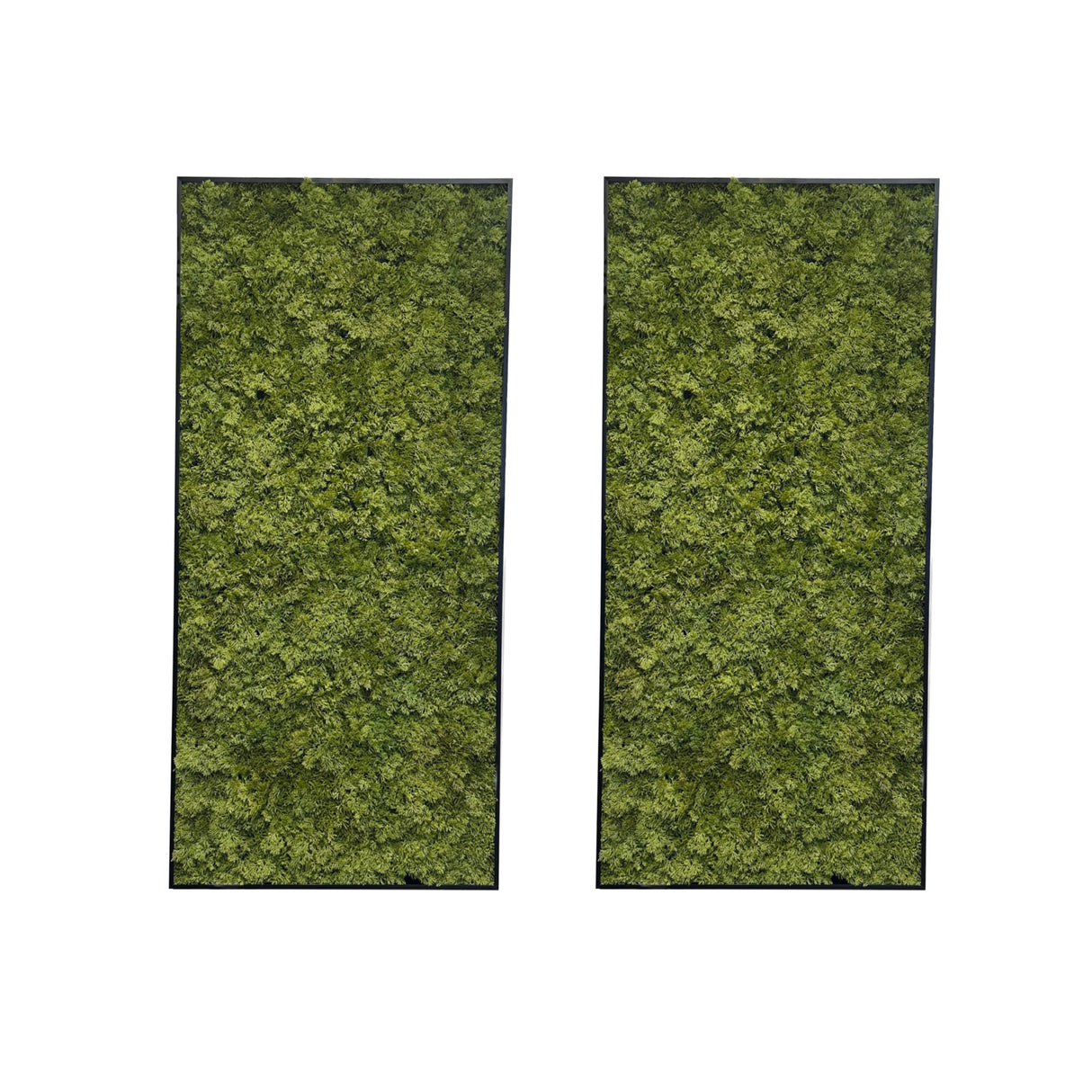 Artificial reindeer moss wall rectangle art panel aluminium black - 2 x 100x50cm frames