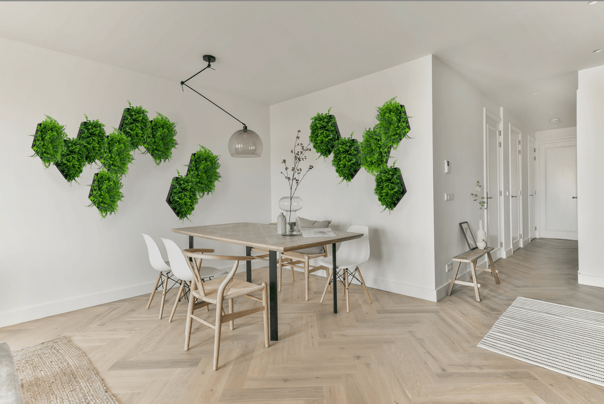 Artificial green fern foliage wall decor in hexagonal aluminium frames, mounted.