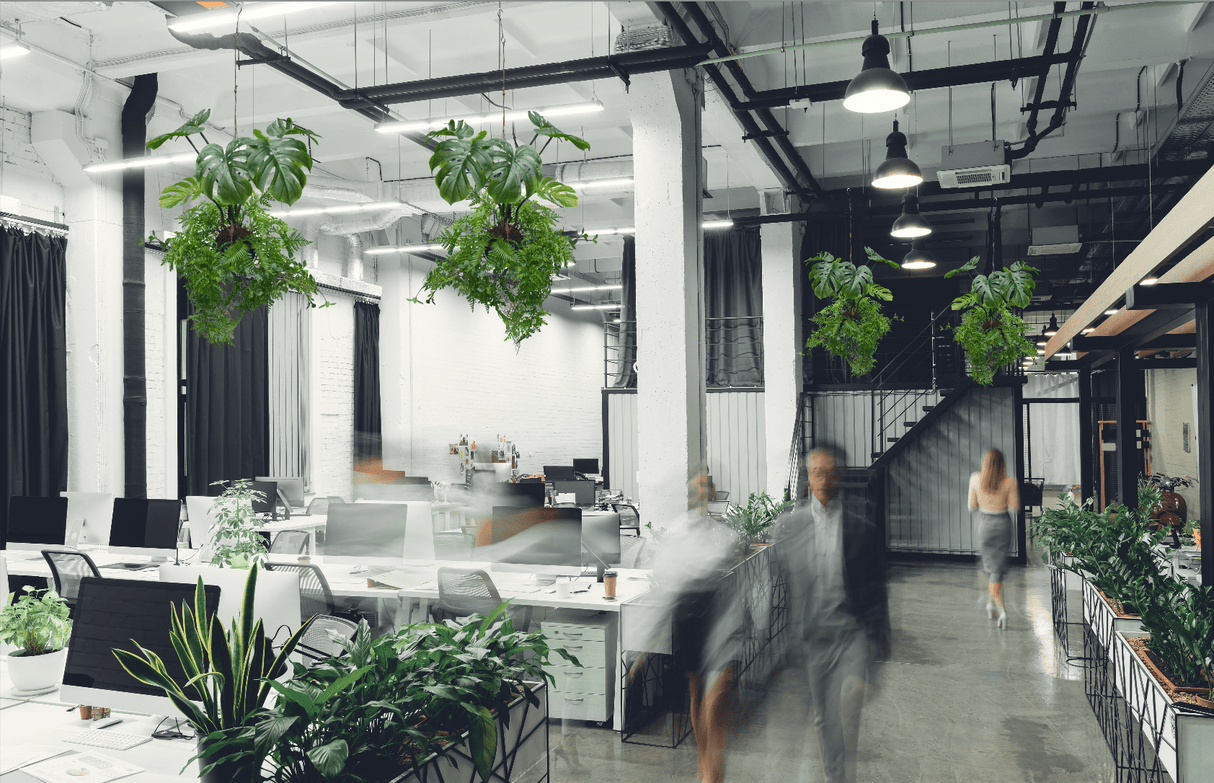 Hanging kokedama artificial plants with green monstera leaves and trailing fern foliage