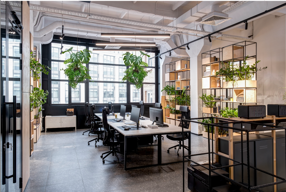 artificial trailing fern kokedama , hanging monstera