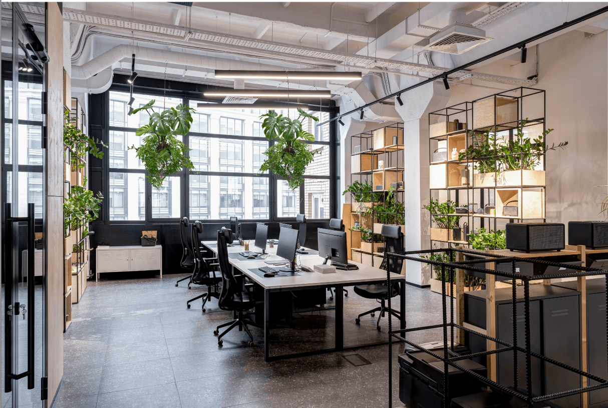 Hanging kokedama artificial plants with green monstera leaves and fern fronds