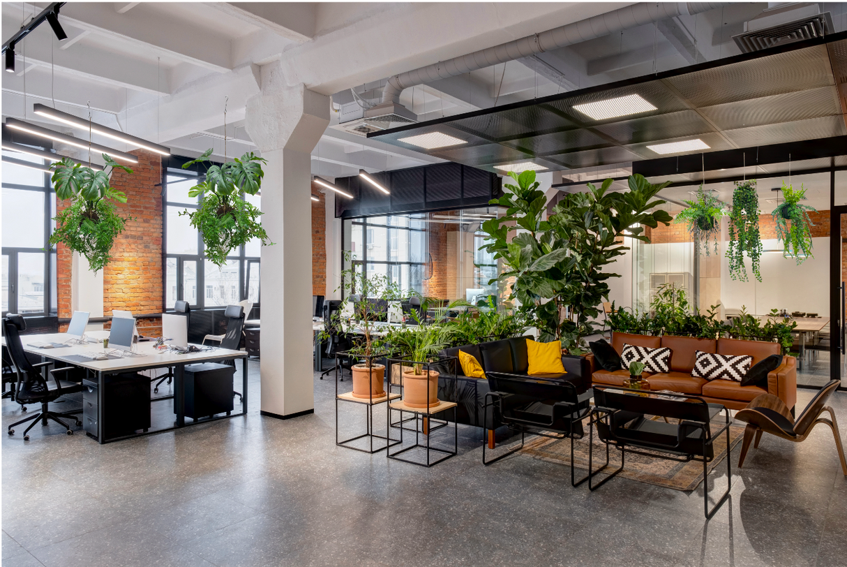 artificial trailing fern kokedama , hanging monstera