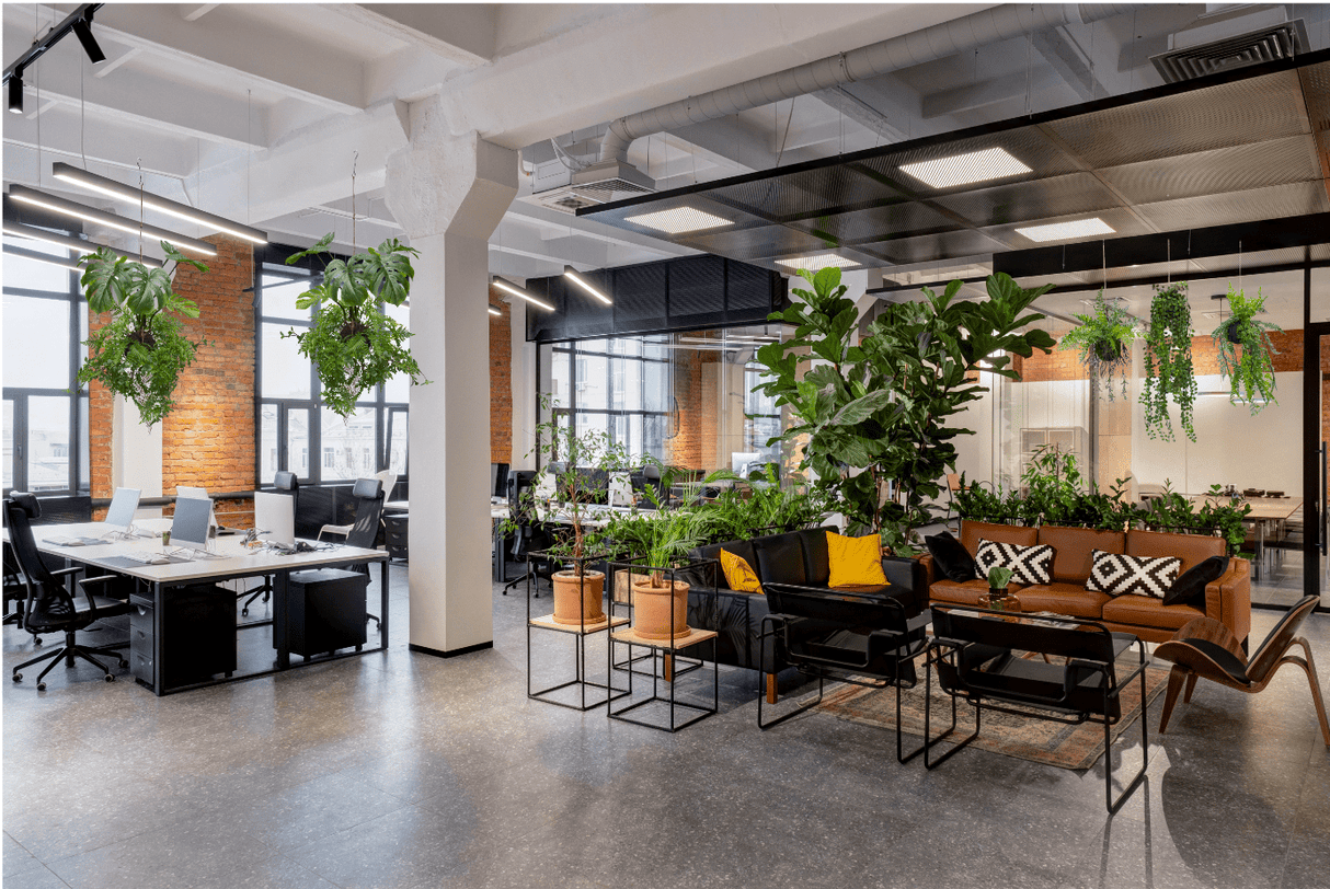 Hanging artificial fern kokedama plants with cascading green foliage from ceiling