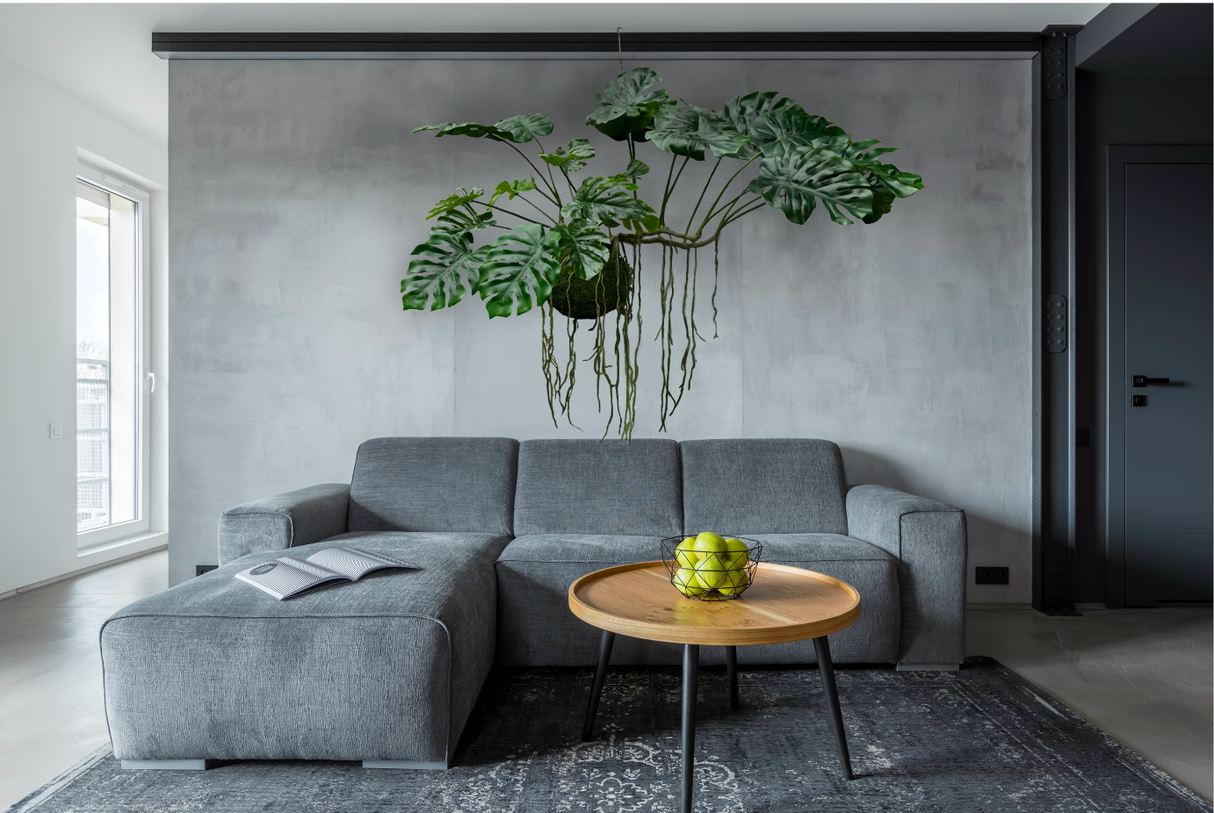 artificial trailing fern kokedama , hanging monstera