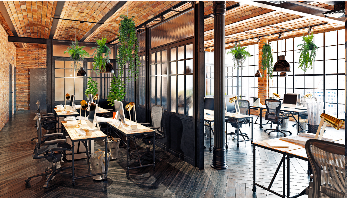 artificial trailing fern kokedama , hanging monstera