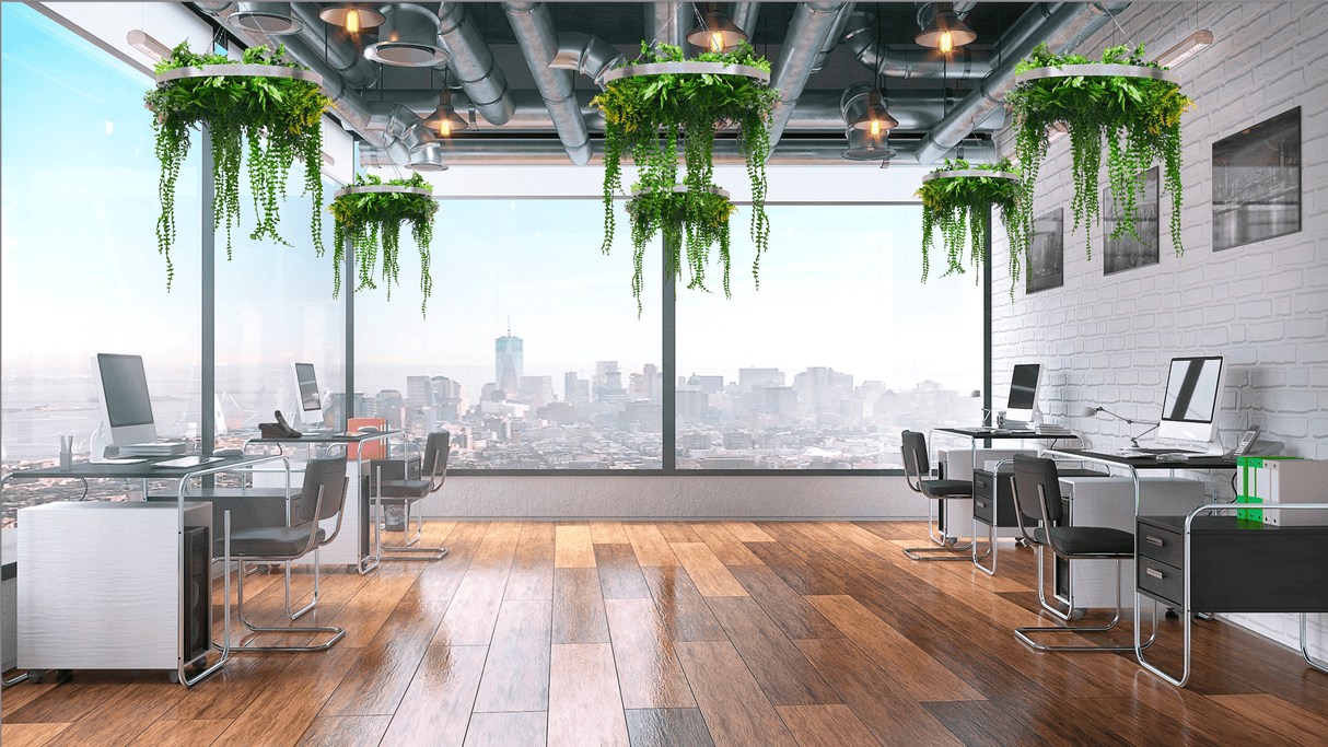 Multiple hanging plant hoops with artificial green foliage in office ceiling space