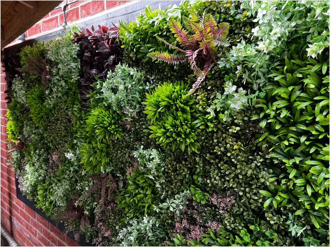 Artificial green wall panel with mixed green, burgundy and white tipped trailing plants 100x100 cm