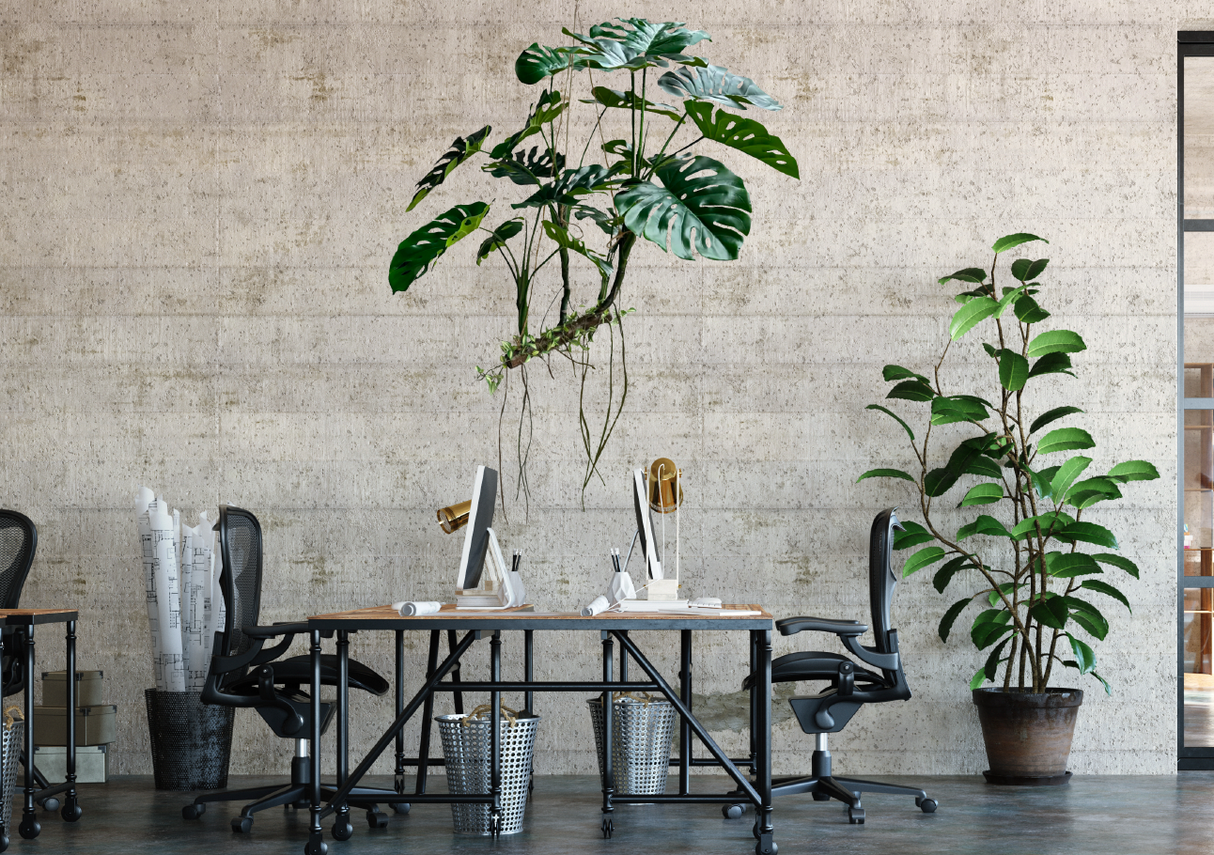 Artificial large hanging branched monstera with trailing roots 120cm wide