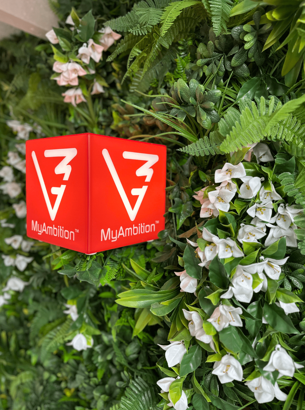 Artificial foliage wall panel with white bougainvillea-style flowers and MyAmbition red box