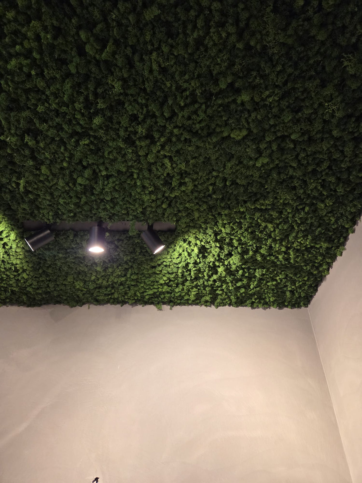 Forest green preserved moss wall panel in a corner mount