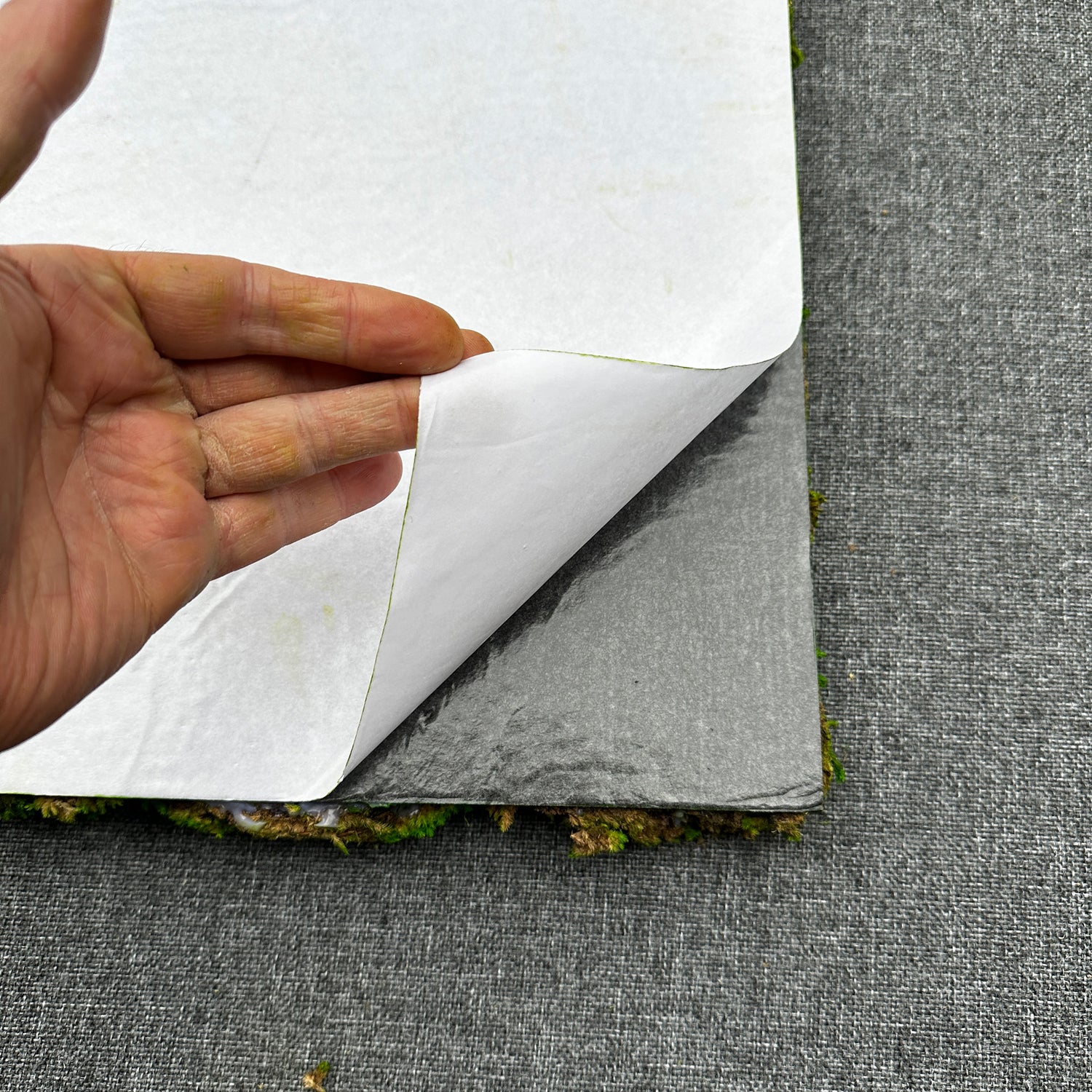 Premium preserved bun moss - green 1m2 self adhesive panel