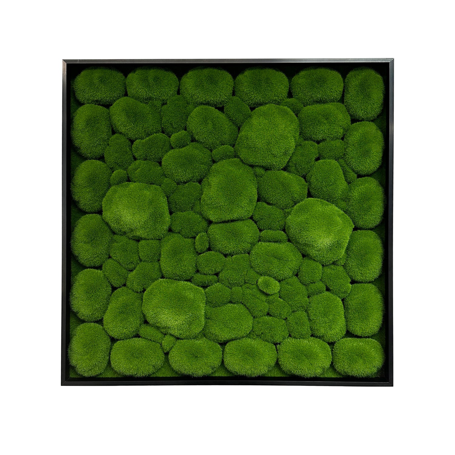 Artificial bun moss wall square art panel black aluminium - 50cm