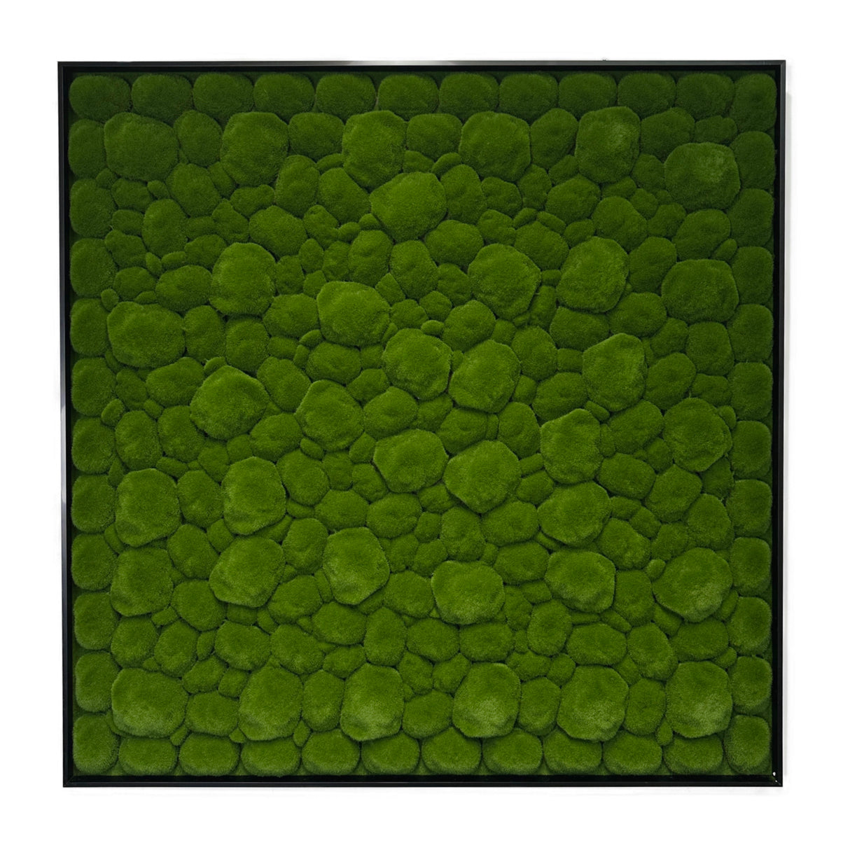 Artificial bun moss wall square art panel black aluminium - 100x100cm