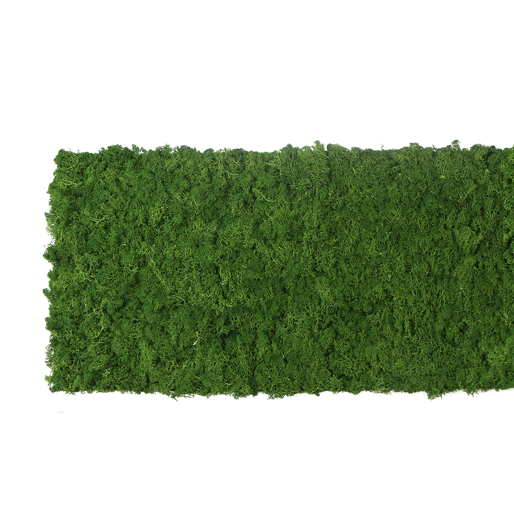 Preserved reindeer moss wall - forest green 0.5 x 2.15m self adhesive back