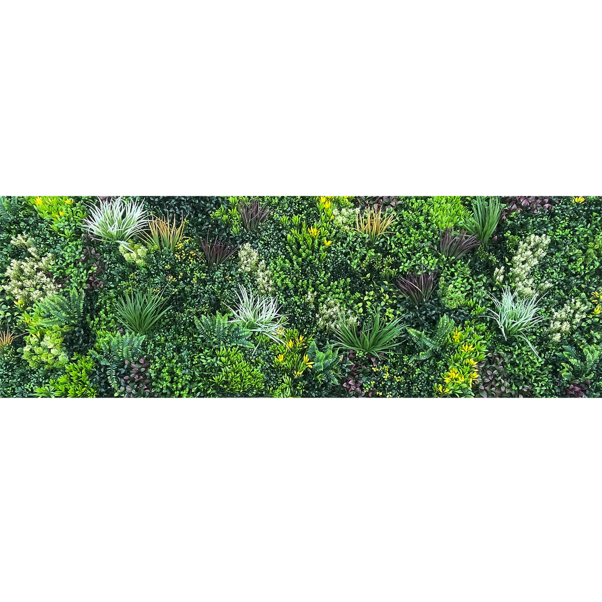 Combo of 3 x artificial green wall panel with variegated mixed green red and white foliage 100x100 cm