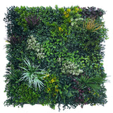 Combo of 3 x  artificial green wall panel with variegated mixed green red and white foliage 100x100 cm