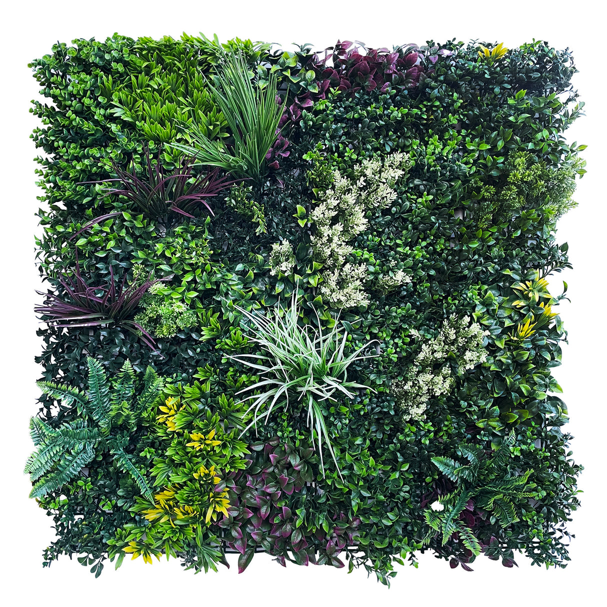 Combo of 3 x artificial green wall panel with variegated mixed green red and white foliage 100x100 cm