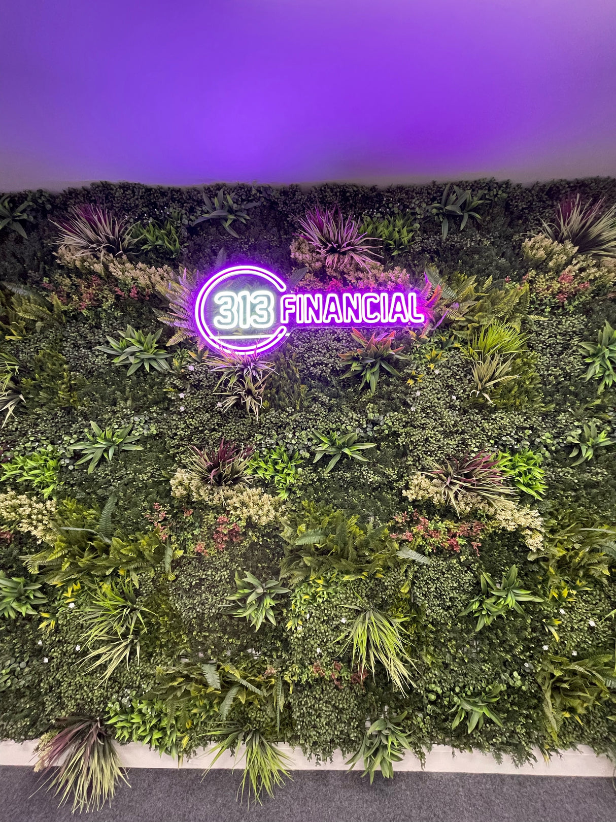 Combo of 3 x Artificial green wall panel with variegated mixed green yellow red orange and white foliage