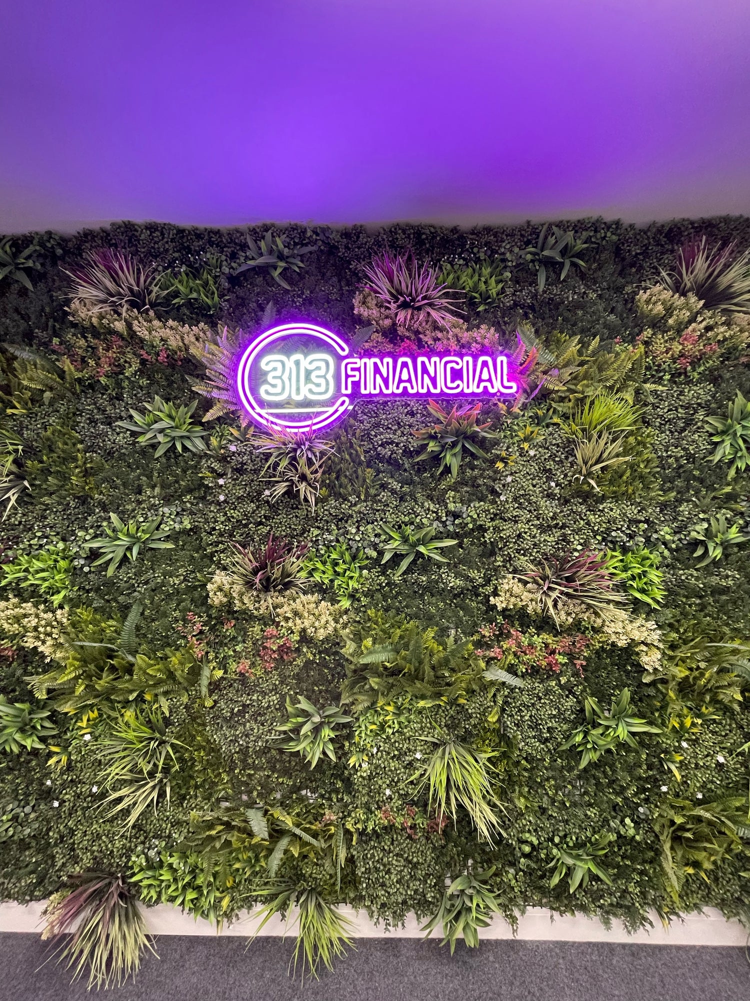 Combo of 3 x Artificial green wall panel with variegated mixed green yellow red orange and white foliage