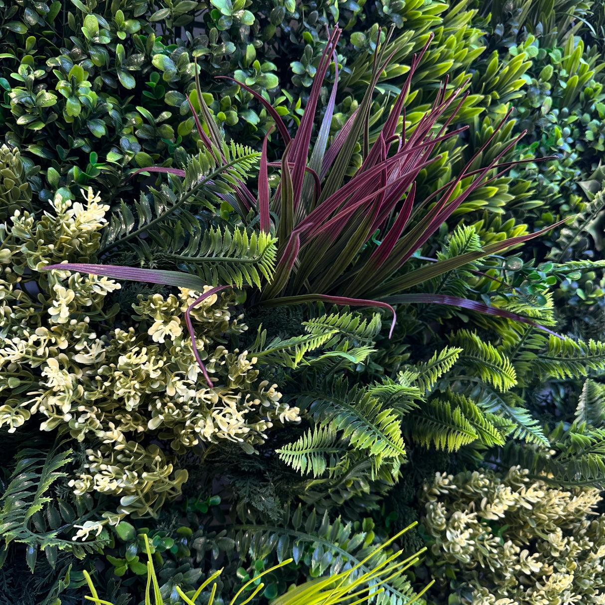 Combo of 3 x Artificial green wall panel with variegated mixed green red and white foliage