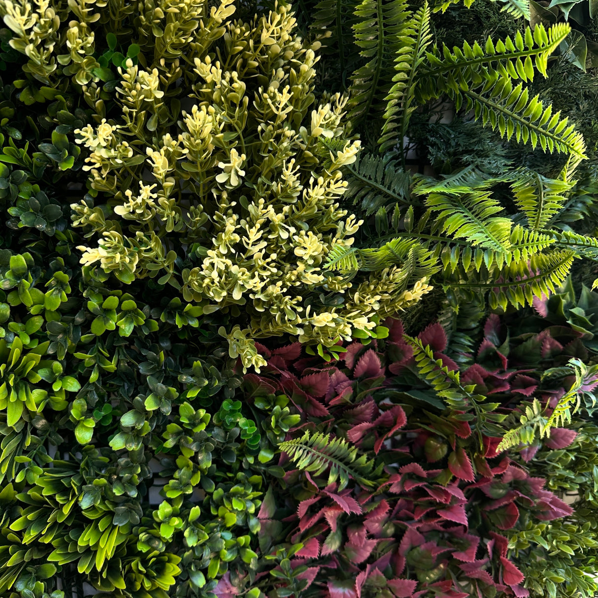 Combo of 3 x Artificial green wall panel with variegated mixed green red and white foliage
