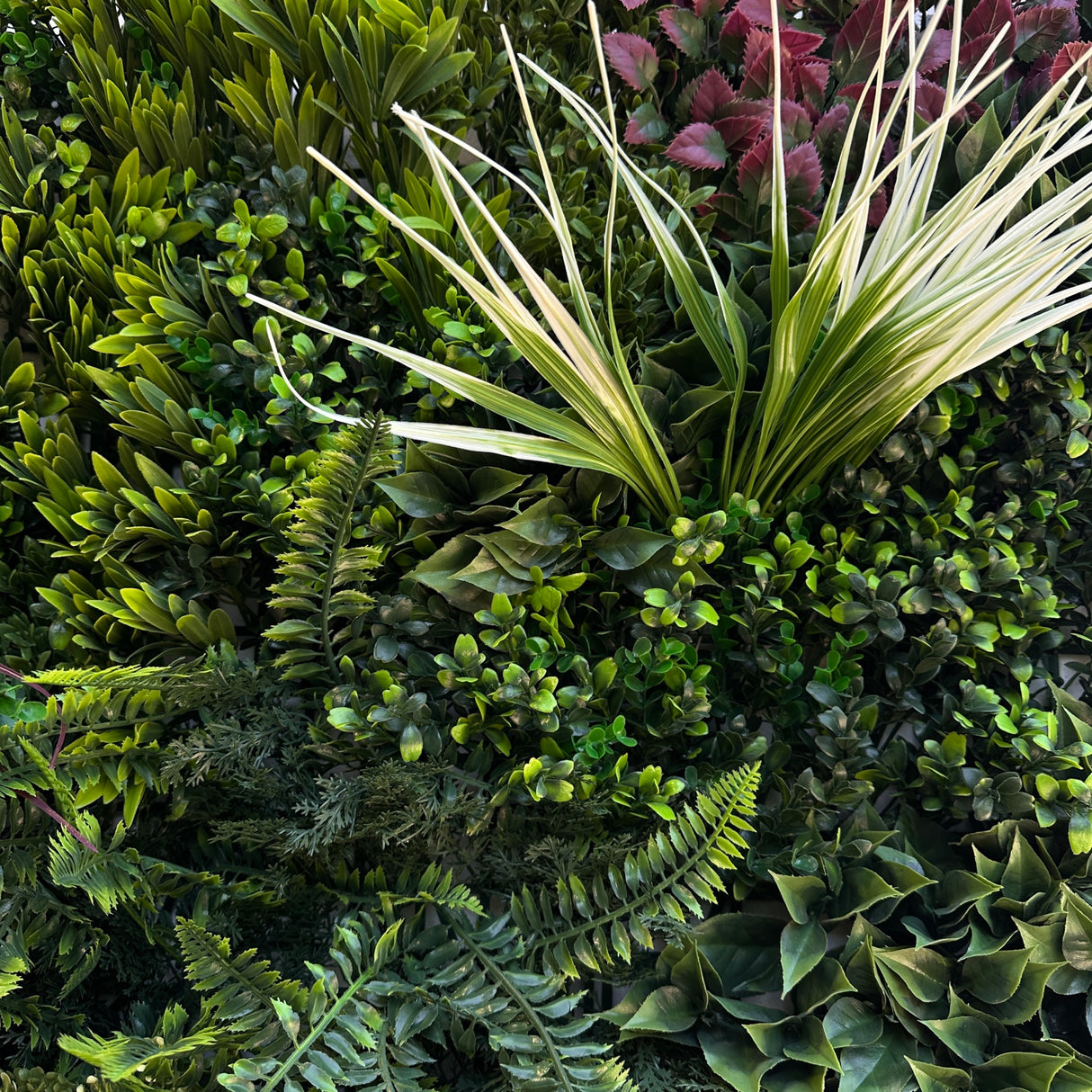 Combo of 3 x Artificial green wall panel with variegated mixed green red and white foliage