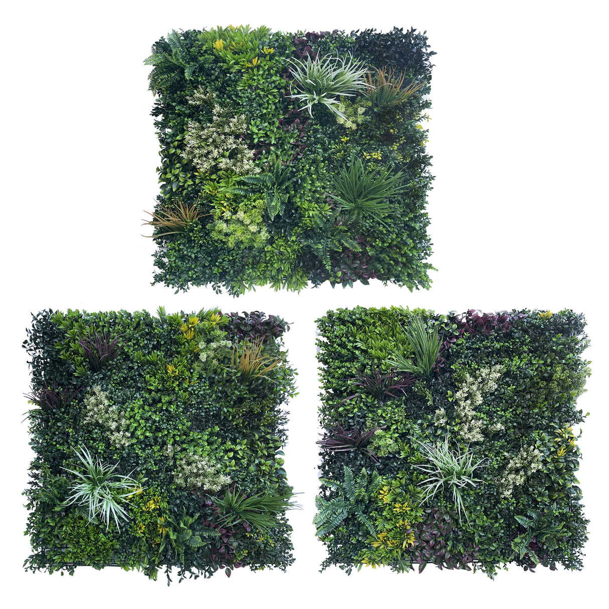 Combo of 3 x artificial green wall panel with variegated mixed green red and white foliage 100x100 cm