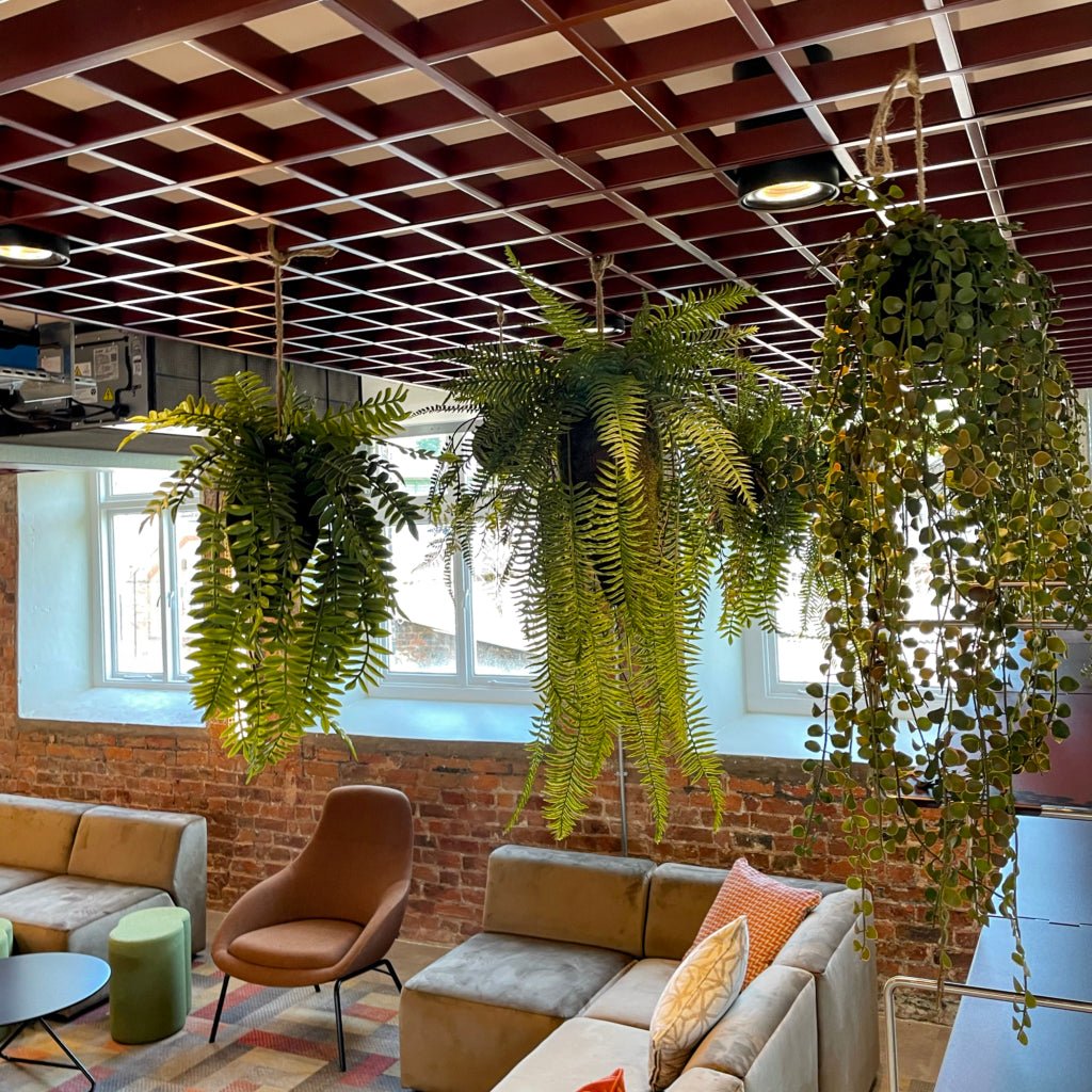 Hanging artificial fern kokedama strands with dark moss balls and cascading leaves