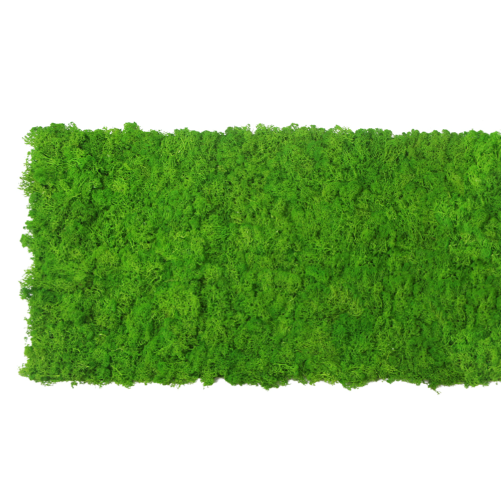 Preserved reindeer moss panel - light green 0.5 x 3m self adhesive back