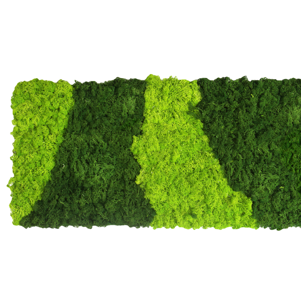 Preserved reindeer moss panel - patterned light green and forest green 0.5 x 3m self adhesive back