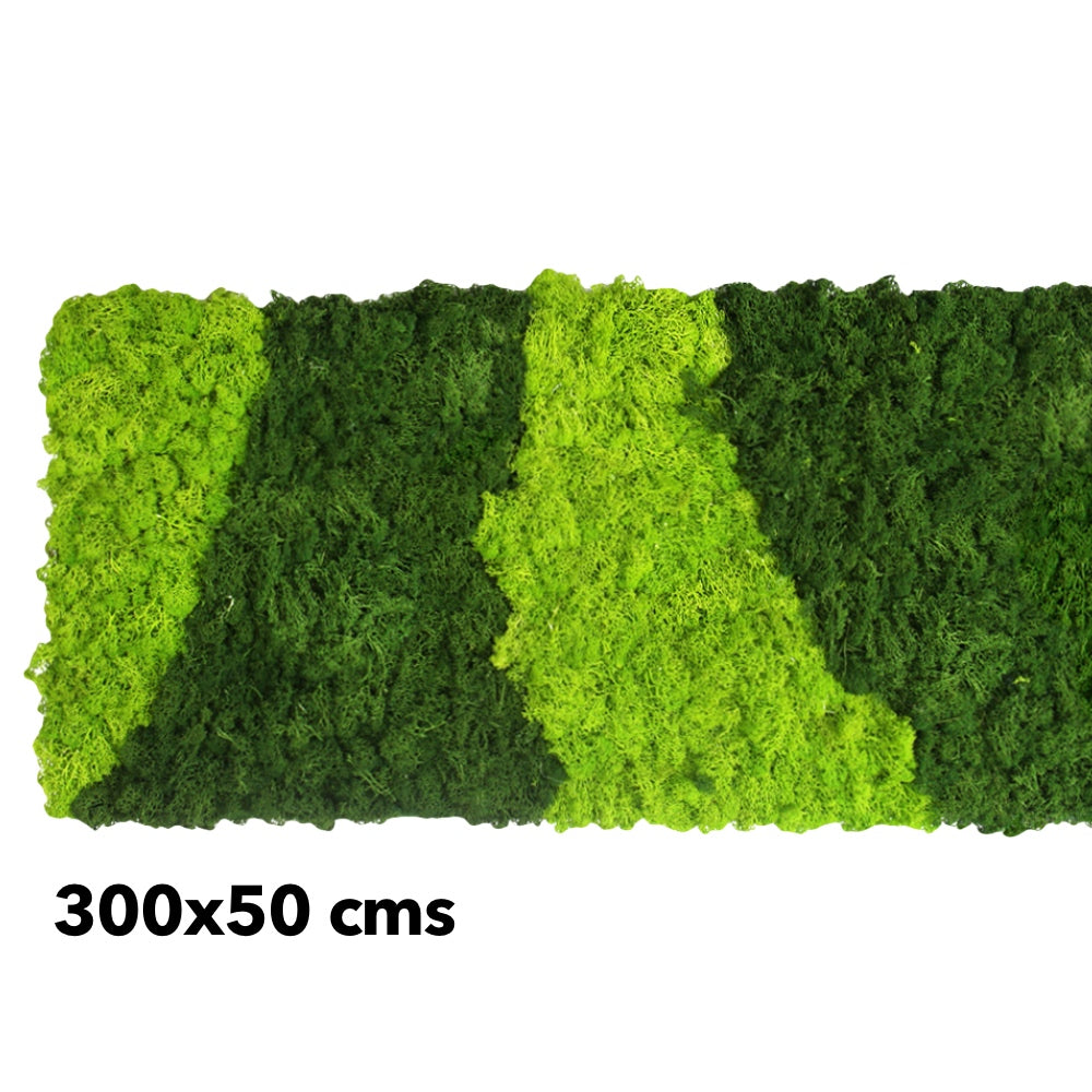 Preserved reindeer moss panel - patterned light green and forest green 0.5 x 3m self adhesive back