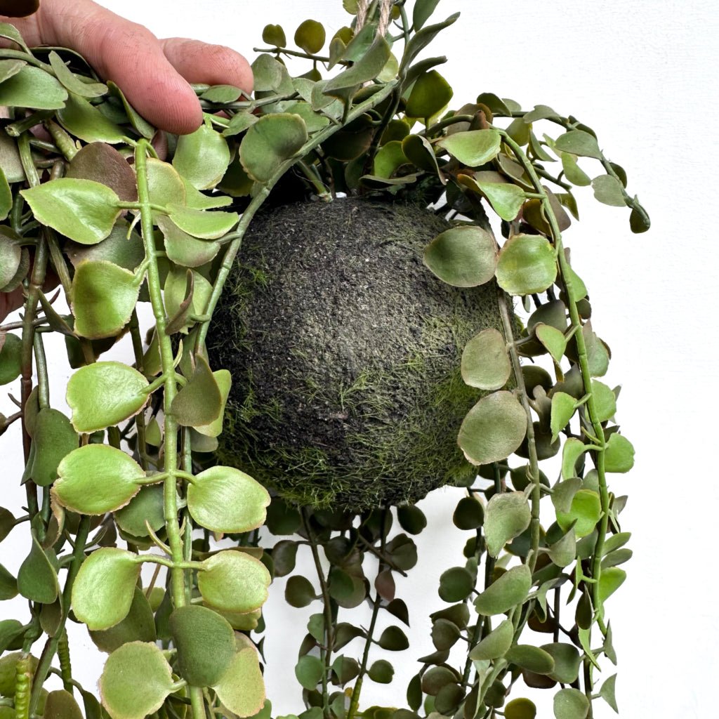 Artificial trailing fern kokedama with black moss center and round green leaves