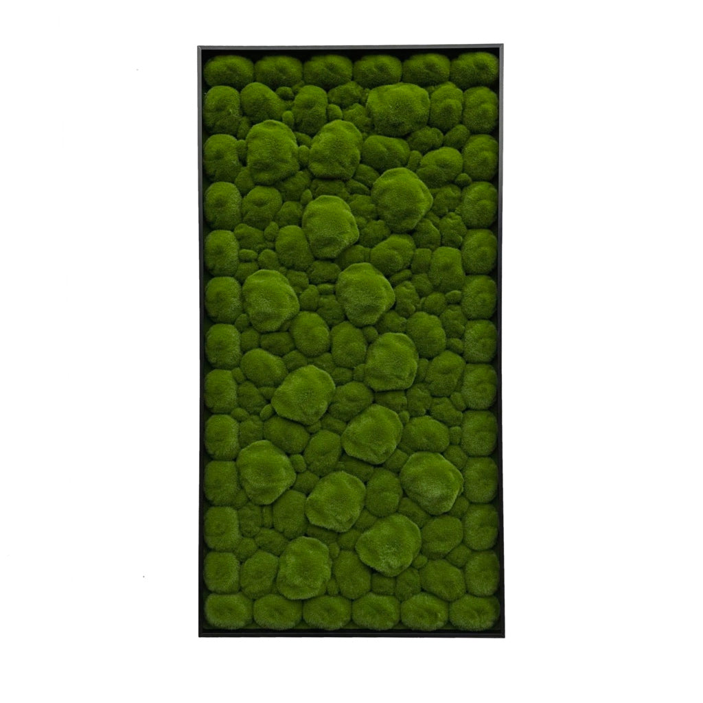Artificial bun moss wall rectangle art panel black aluminium - 100x50cm