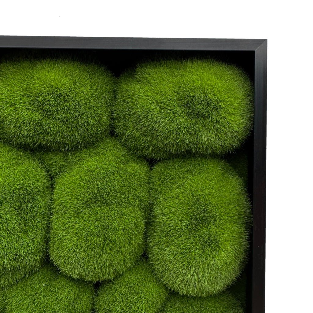 Artificial moss wall art panel detail with green rounded tuft clusters and black frame edge.