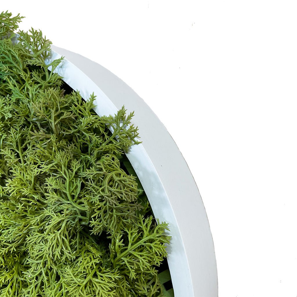 Close-up of circular artificial moss panel edge, green moss on white backing