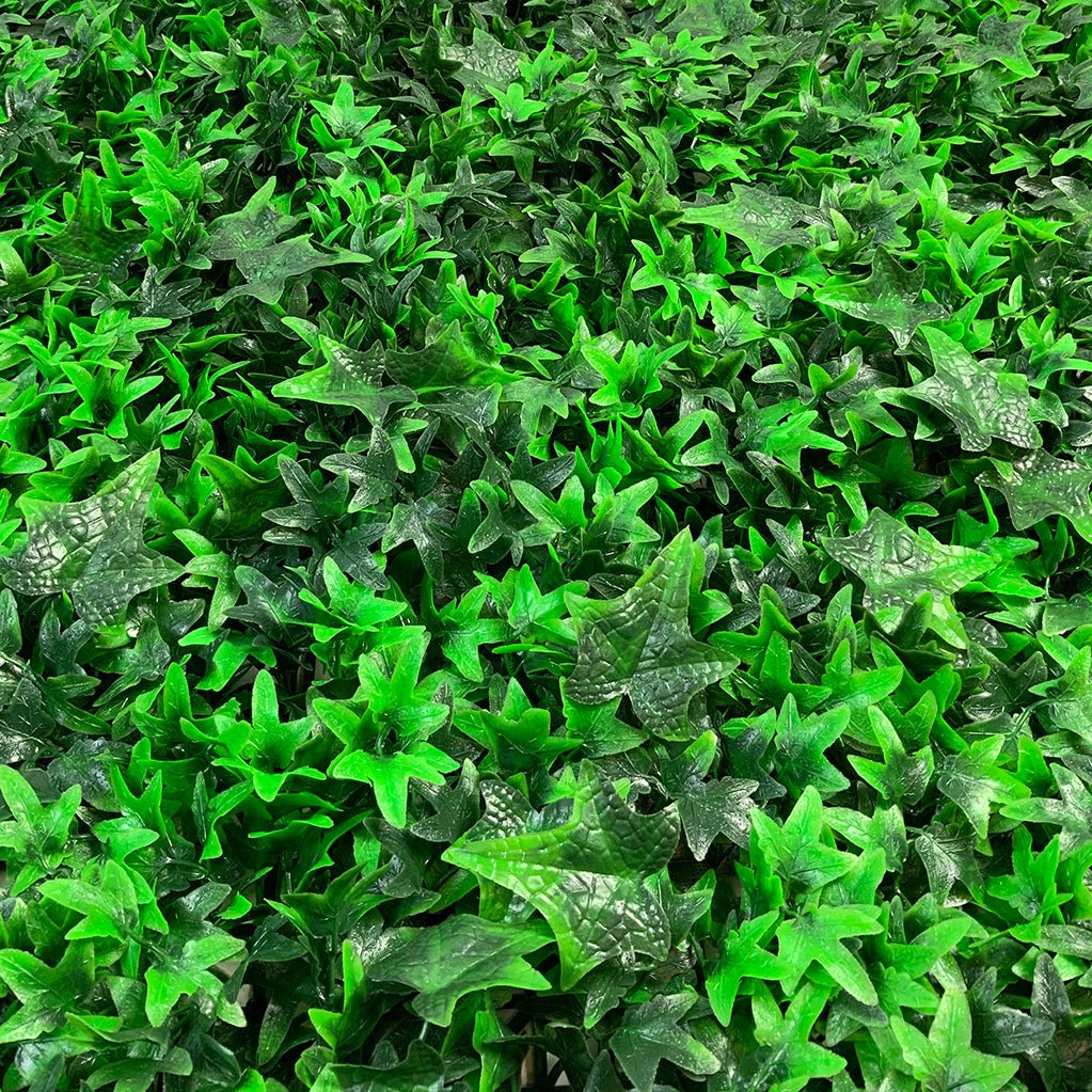 Artificial green wall plant panel close-up of mixed ivy leaves in bright green