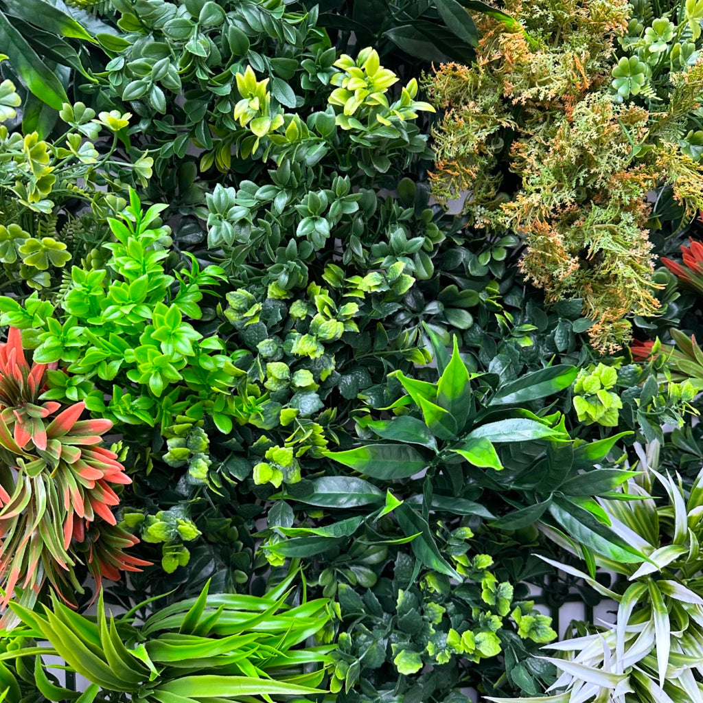 Green wall panel variegated  green foliage  palms heads, green & white tipped  grasses & orange tipped bushes 100x100 cm
