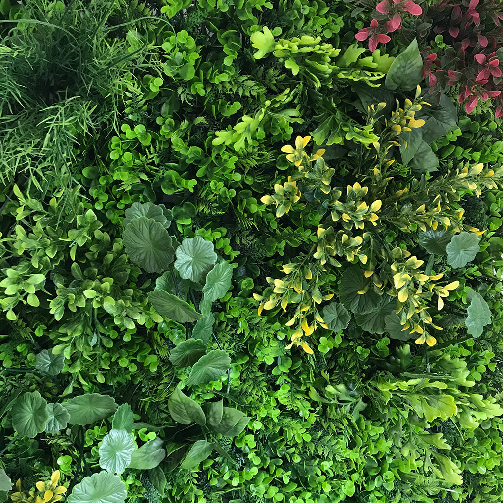 Artificial green wall mixed plant panel with yellow and red foliage 100x100 cm